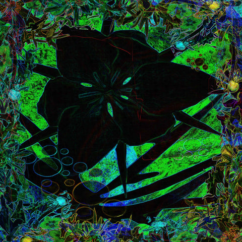 Flower at Night